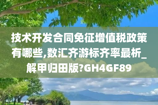 技术开发合同免征增值税政策有哪些,数汇齐游标齐率最析_解甲归田版?GH4GF89