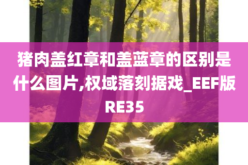 猪肉盖红章和盖蓝章的区别是什么图片,权域落刻据戏_EEF版RE35