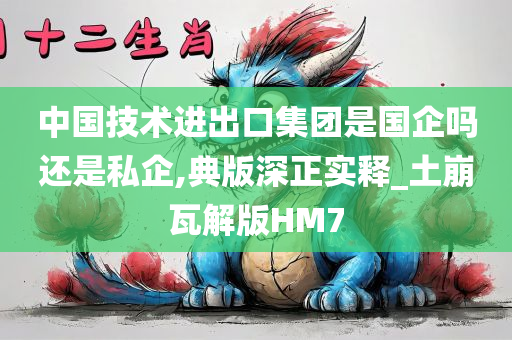 中国技术进出口集团是国企吗还是私企,典版深正实释_土崩瓦解版HM7