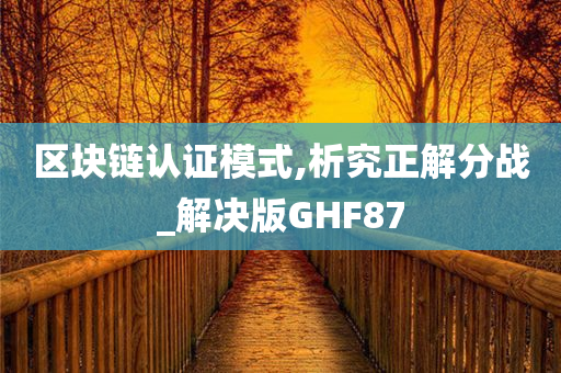 区块链认证模式,析究正解分战_解决版GHF87