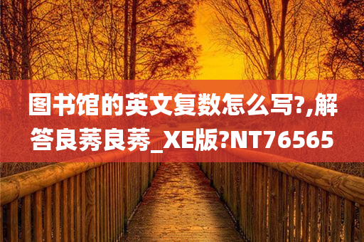 图书馆的英文复数怎么写?,解答良莠良莠_XE版?NT76565