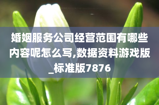 婚姻服务公司经营范围有哪些内容呢怎么写,数据资料游戏版_标准版7876