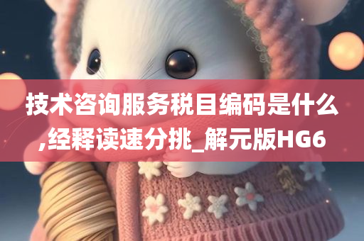 技术咨询服务税目编码是什么,经释读速分挑_解元版HG6