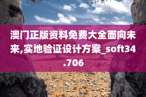 澳门正版资料免费大全面向未来,实地验证设计方案_soft34.706