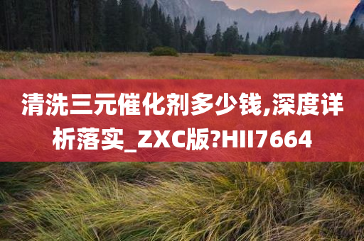 清洗三元催化剂多少钱,深度详析落实_ZXC版?HII7664