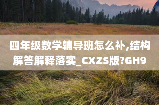 四年级数学辅导班怎么补,结构解答解释落实_CXZS版?GH9