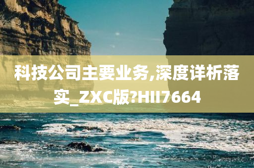 科技公司主要业务,深度详析落实_ZXC版?HII7664