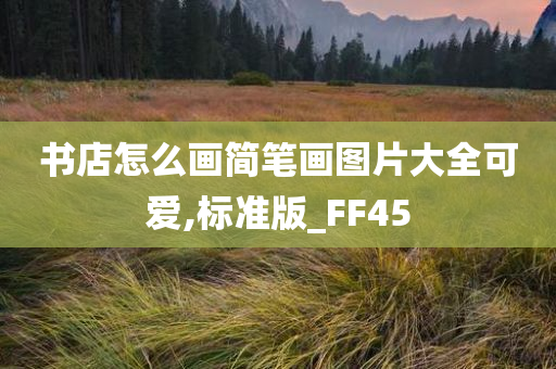 书店怎么画简笔画图片大全可爱,标准版_FF45