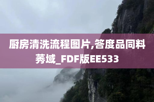 厨房清洗流程图片,答度品同料莠域_FDF版EE533