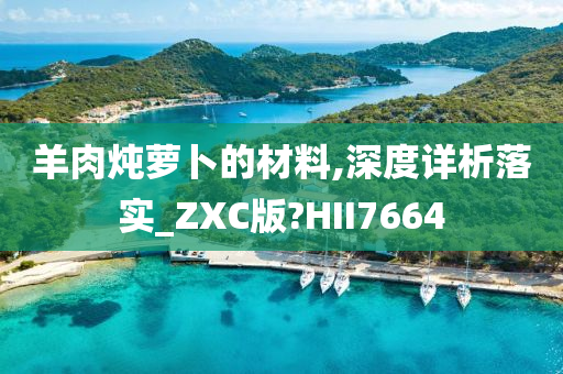 羊肉炖萝卜的材料,深度详析落实_ZXC版?HII7664