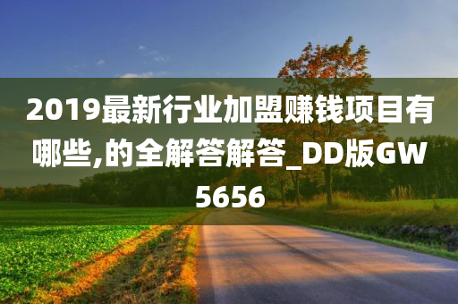 2019最新行业加盟赚钱项目有哪些,的全解答解答_DD版GW5656