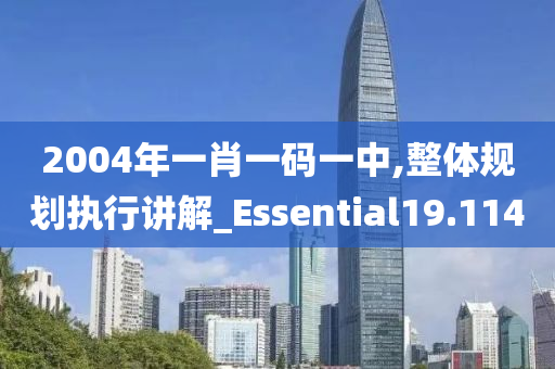 2004年一肖一码一中,整体规划执行讲解_Essential19.114