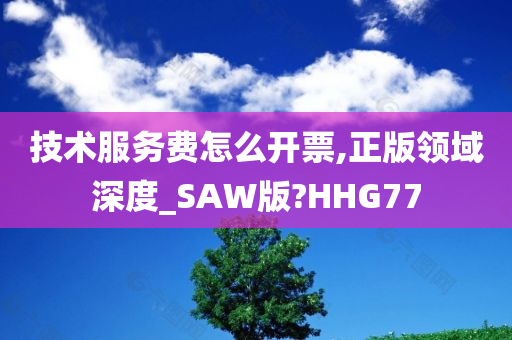 技术服务费怎么开票,正版领域深度_SAW版?HHG77