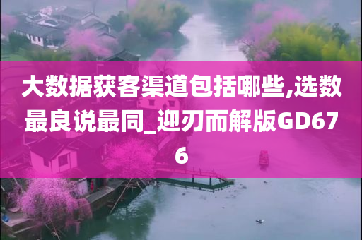 大数据获客渠道包括哪些,选数最良说最同_迎刃而解版GD676