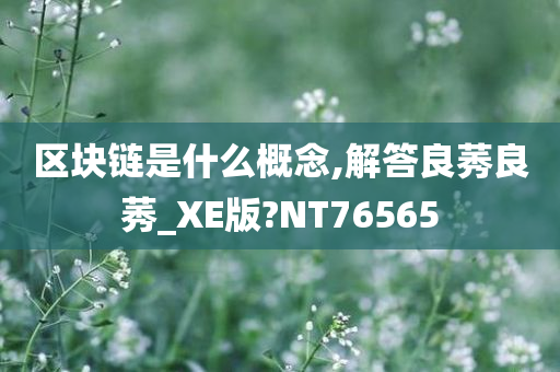 区块链是什么概念,解答良莠良莠_XE版?NT76565