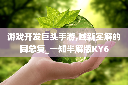 游戏开发巨头手游,域新实解的同总复_一知半解版KY6