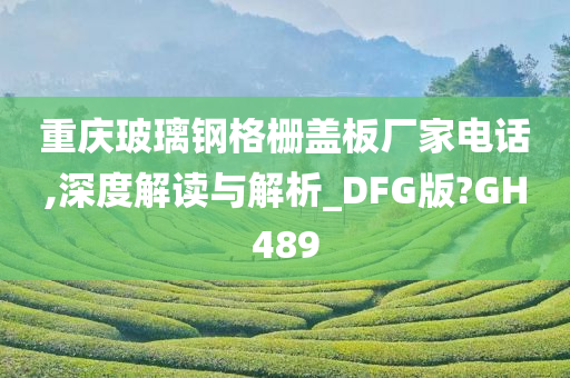 重庆玻璃钢格栅盖板厂家电话,深度解读与解析_DFG版?GH489