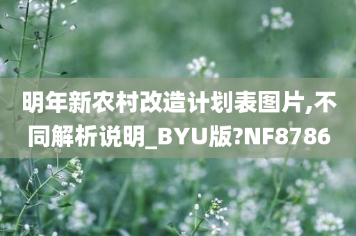 明年新农村改造计划表图片,不同解析说明_BYU版?NF8786