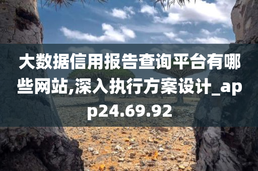 大数据信用报告查询平台有哪些网站,深入执行方案设计_app24.69.92