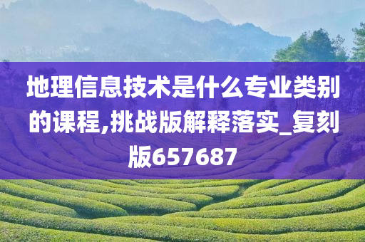 地理信息技术是什么专业类别的课程,挑战版解释落实_复刻版657687