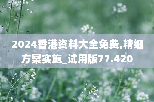 2024香港资料大全免费,精细方案实施_试用版77.420