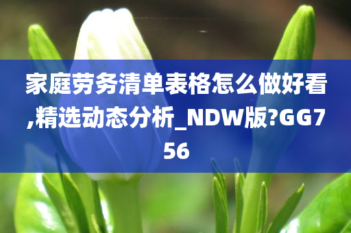 家庭劳务清单表格怎么做好看,精选动态分析_NDW版?GG756