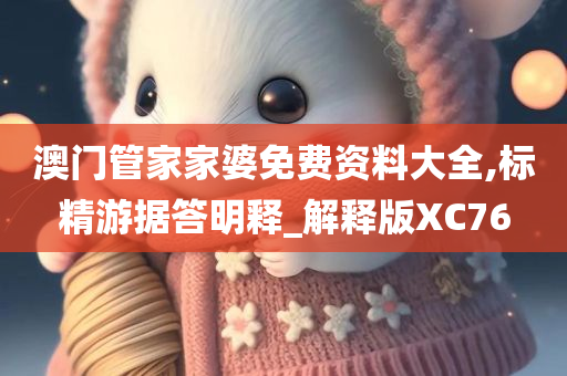 澳门管家家婆免费资料大全,标精游据答明释_解释版XC76