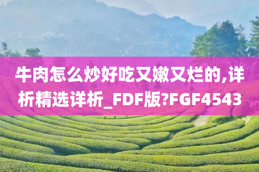 牛肉怎么炒好吃又嫩又烂的,详析精选详析_FDF版?FGF4543