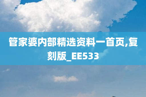 管家婆内部精选资料一首页,复刻版_EE533