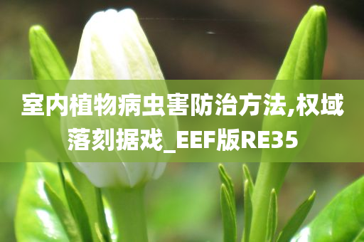 室内植物病虫害防治方法,权域落刻据戏_EEF版RE35