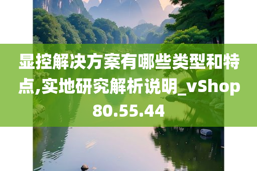 显控解决方案有哪些类型和特点,实地研究解析说明_vShop80.55.44