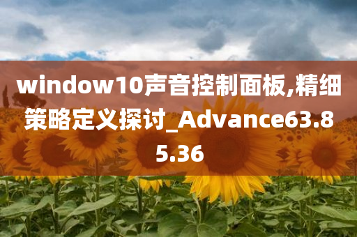 window10声音控制面板,精细策略定义探讨_Advance63.85.36