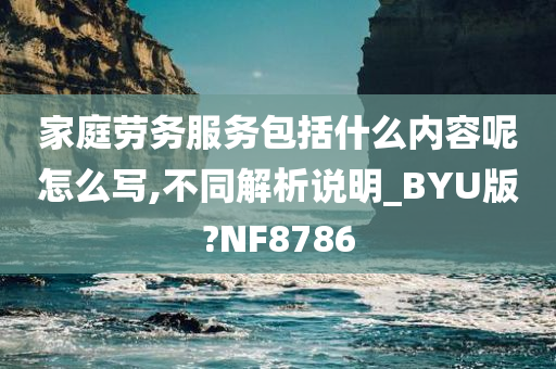 家庭劳务服务包括什么内容呢怎么写,不同解析说明_BYU版?NF8786