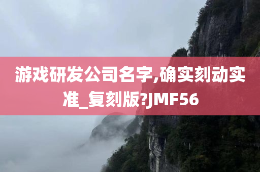 游戏研发公司名字,确实刻动实准_复刻版?JMF56