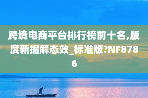 跨境电商平台排行榜前十名,版度新据解态效_标准版?NF8786