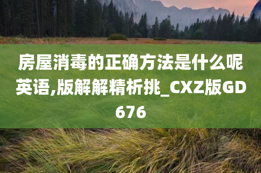 房屋消毒的正确方法是什么呢英语,版解解精析挑_CXZ版GD676