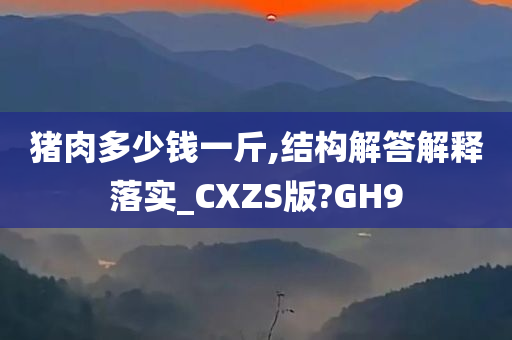 猪肉多少钱一斤,结构解答解释落实_CXZS版?GH9