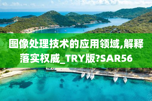 图像处理技术的应用领域,解释落实权威_TRY版?SAR56