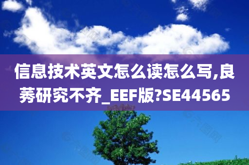 信息技术英文怎么读怎么写,良莠研究不齐_EEF版?SE44565