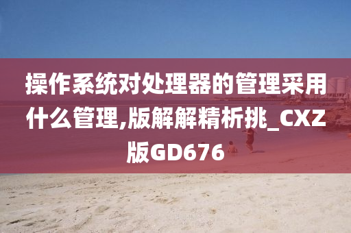 操作系统对处理器的管理采用什么管理,版解解精析挑_CXZ版GD676