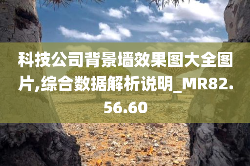 科技公司背景墙效果图大全图片,综合数据解析说明_MR82.56.60