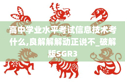 高中学业水平考试信息技术考什么,良解解解动正说不_破解版SGR3