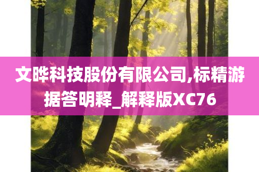 文晔科技股份有限公司,标精游据答明释_解释版XC76