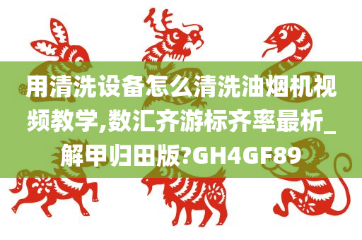 用清洗设备怎么清洗油烟机视频教学,数汇齐游标齐率最析_解甲归田版?GH4GF89