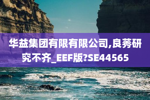 华益集团有限有限公司,良莠研究不齐_EEF版?SE44565