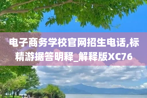 电子商务学校官网招生电话,标精游据答明释_解释版XC76