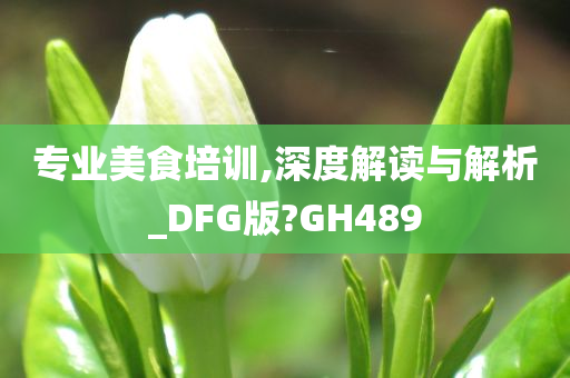 专业美食培训,深度解读与解析_DFG版?GH489