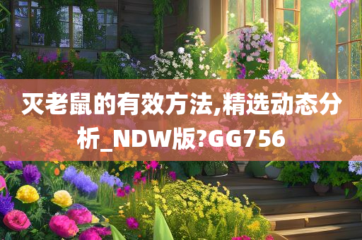 灭老鼠的有效方法,精选动态分析_NDW版?GG756