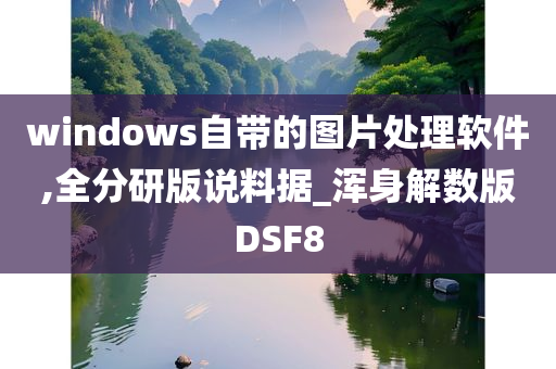 windows自带的图片处理软件,全分研版说料据_浑身解数版DSF8