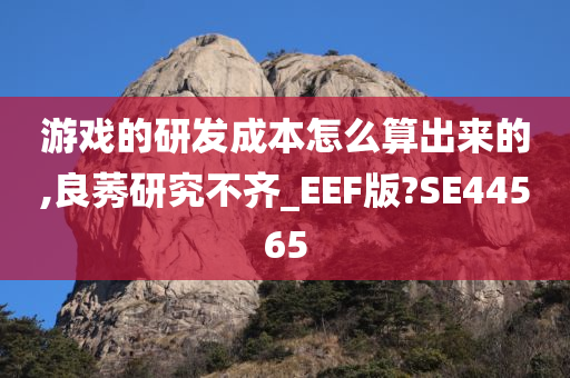 游戏的研发成本怎么算出来的,良莠研究不齐_EEF版?SE44565